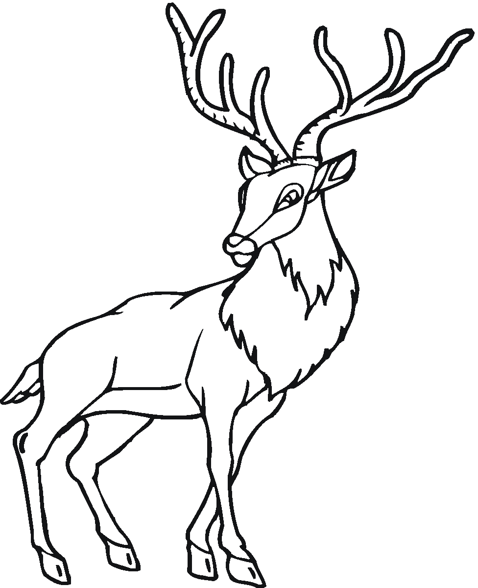 Dessin à colorier: Antilope (Animaux) #22659 - Coloriages à Imprimer Gratuits