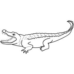 Dessin à colorier: Alligator (Animaux) #397 - Coloriages à Imprimer Gratuits