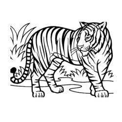 Dessin à colorier: Animaux sauvages / de la jungle (Animaux) #21114 - Coloriages à Imprimer Gratuits