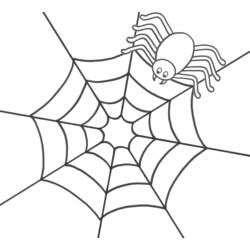 Dessins à colorier: Araignée - Coloriages à Imprimer Gratuits