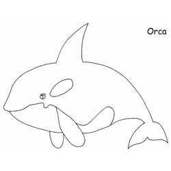Dessin à colorier: Baleine (Animaux) #891 - Coloriages à Imprimer Gratuits
