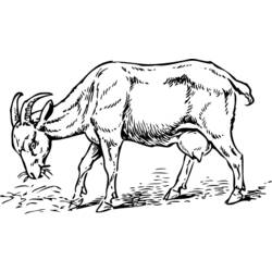 Dessin à colorier: Chèvre (Animaux) #2414 - Coloriages à Imprimer Gratuits