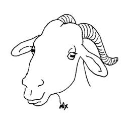 Dessin à colorier: Chèvre (Animaux) #2479 - Coloriages à Imprimer Gratuits