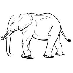 Dessin à colorier: Éléphant (Animaux) #6310 - Coloriages à Imprimer Gratuits