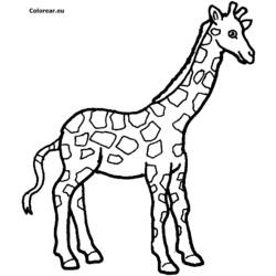 Dessin à colorier: Girafe (Animaux) #7261 - Coloriages à Imprimer Gratuits