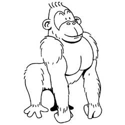 Dessin à colorier: Gorille (Animaux) #7495 - Coloriages à Imprimer Gratuits