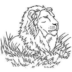 Dessin à colorier: Lion (Animaux) #10349 - Coloriages à Imprimer Gratuits