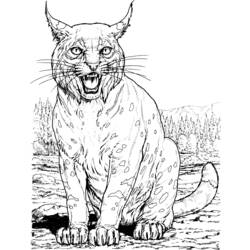 Dessin à colorier: Lynx (Animaux) #10798 - Coloriages à Imprimer Gratuits