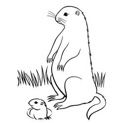Dessin à colorier: Marmotte (Animaux) #10999 - Coloriages à Imprimer Gratuits