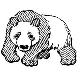 Dessin à colorier: Panda (Animaux) #12462 - Coloriages à Imprimer Gratuits