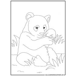 Dessin à colorier: Panda (Animaux) #12488 - Coloriages à Imprimer Gratuits