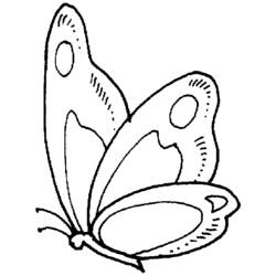 Dessin à colorier: Papillon (Animaux) #15719 - Coloriages à Imprimer Gratuits