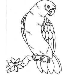 Dessin à colorier: Perroquet (Animaux) #16225 - Coloriages à Imprimer Gratuits