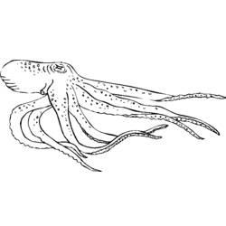 Dessin à colorier: Pieuvre (Animaux) #18978 - Coloriages à Imprimer Gratuits