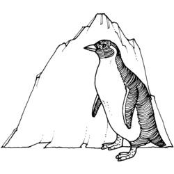Dessin à colorier: Pingouin (Animaux) #16943 - Coloriages à Imprimer Gratuits