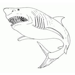 Dessin à colorier: Requin (Animaux) #14843 - Coloriages à Imprimer Gratuits