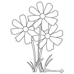 Dessin à colorier: Fleurs (Nature) #155003 - Coloriages à Imprimer Gratuits