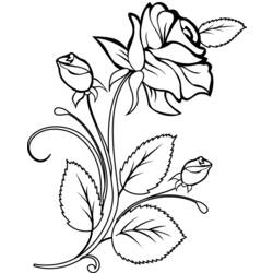 Dessin à colorier: Roses (Nature) #161874 - Coloriages à Imprimer Gratuits