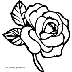Dessin à colorier: Roses (Nature) #162017 - Coloriages à Imprimer Gratuits