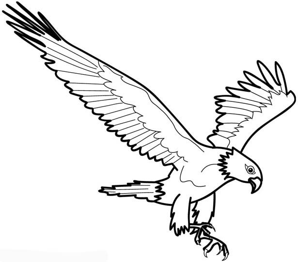Dessin à colorier: Aigle (Animaux) #294 - Coloriages à Imprimer Gratuits