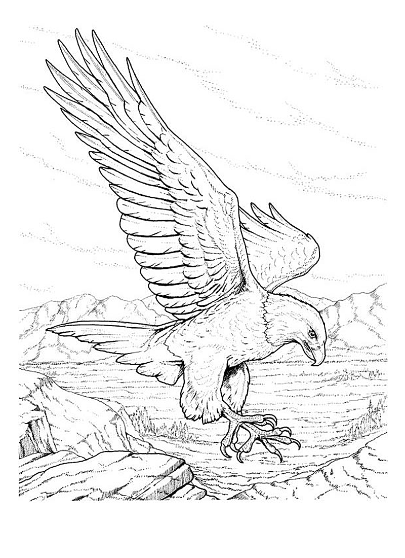 Dessin à colorier: Aigle (Animaux) #296 - Coloriages à Imprimer Gratuits