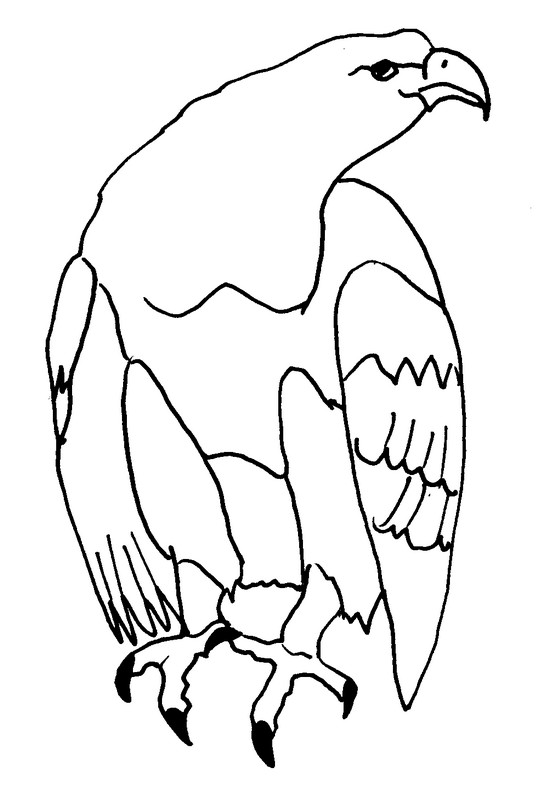 Dessin à colorier: Aigle (Animaux) #316 - Coloriages à Imprimer Gratuits