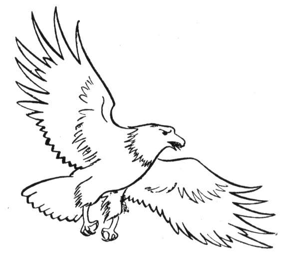 Dessin à colorier: Aigle (Animaux) #318 - Coloriages à Imprimer Gratuits
