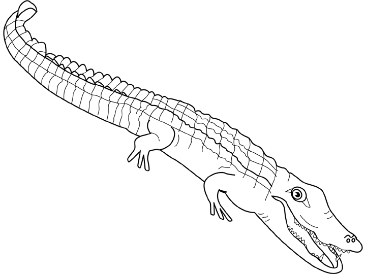 Dessin à colorier: Alligator (Animaux) #384 - Coloriages à Imprimer Gratuits