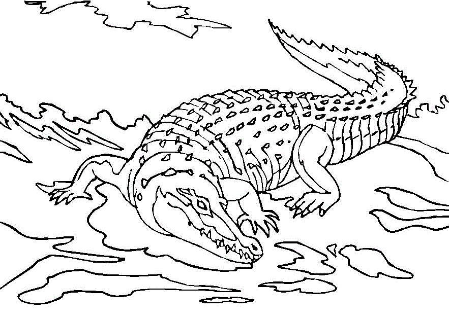Dessin à colorier: Alligator (Animaux) #392 - Coloriages à Imprimer Gratuits