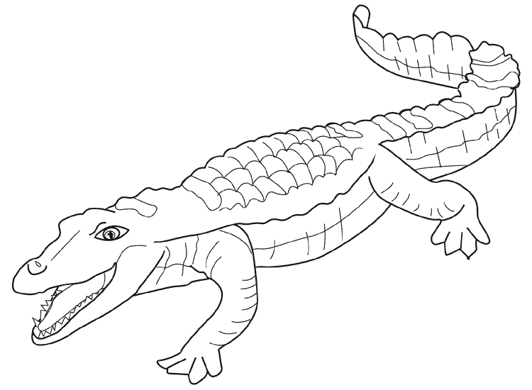 Dessin à colorier: Alligator (Animaux) #429 - Coloriages à Imprimer Gratuits