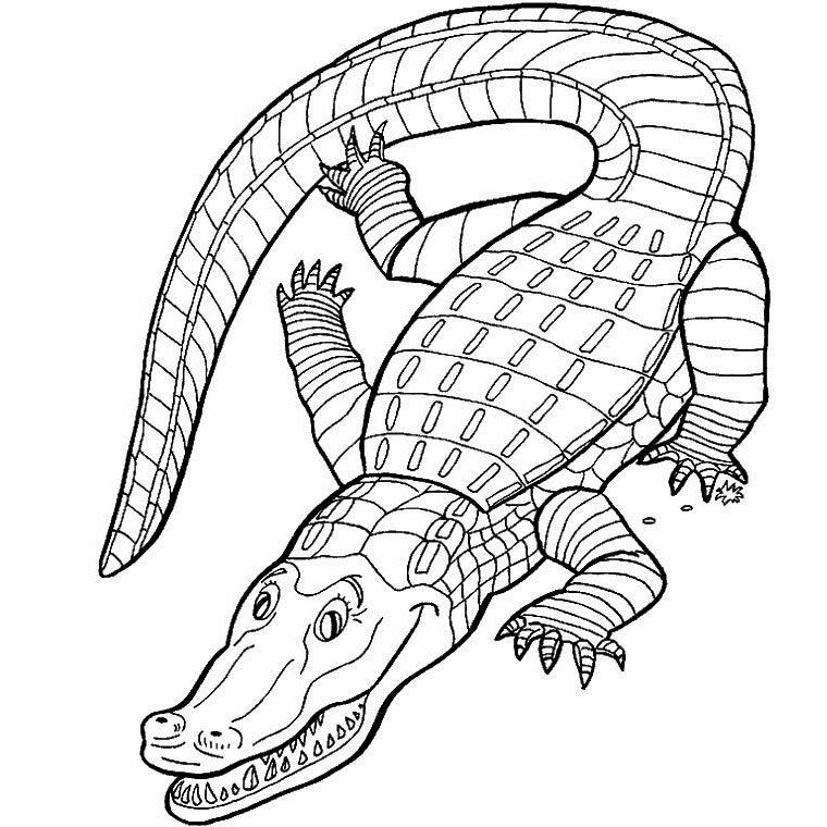 Dessin à colorier: Alligator (Animaux) #434 - Coloriages à Imprimer Gratuits