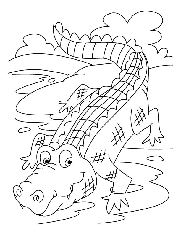 Dessin à colorier: Alligator (Animaux) #450 - Coloriages à Imprimer Gratuits