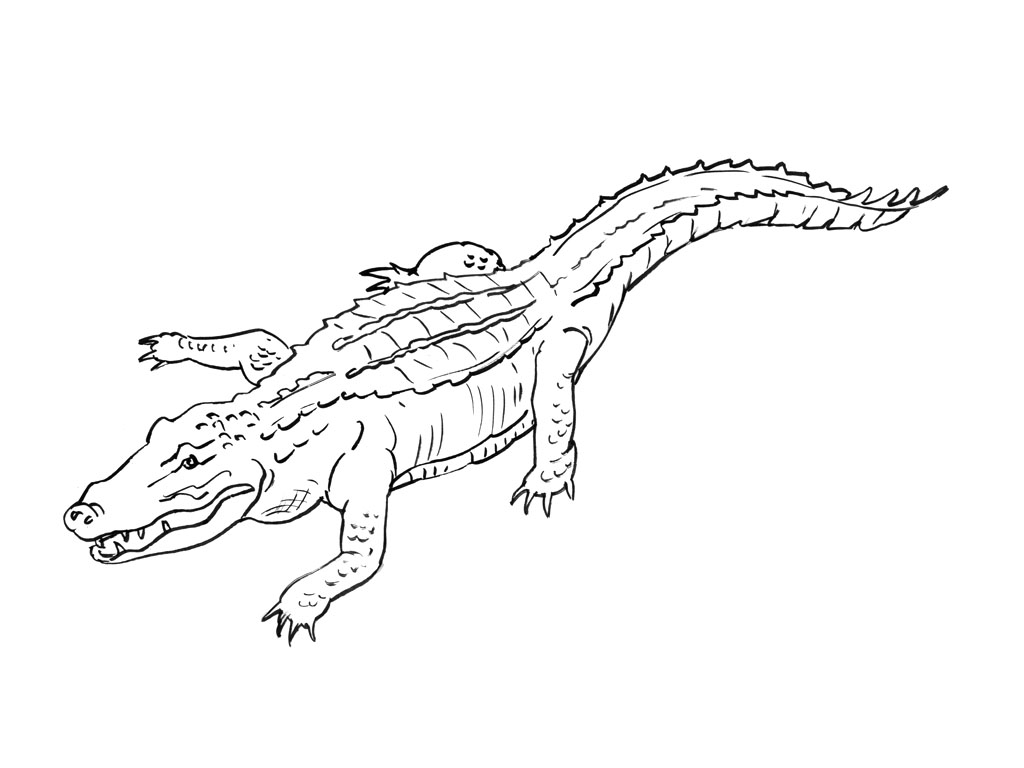 Dessin à colorier: Alligator (Animaux) #470 - Coloriages à Imprimer Gratuits