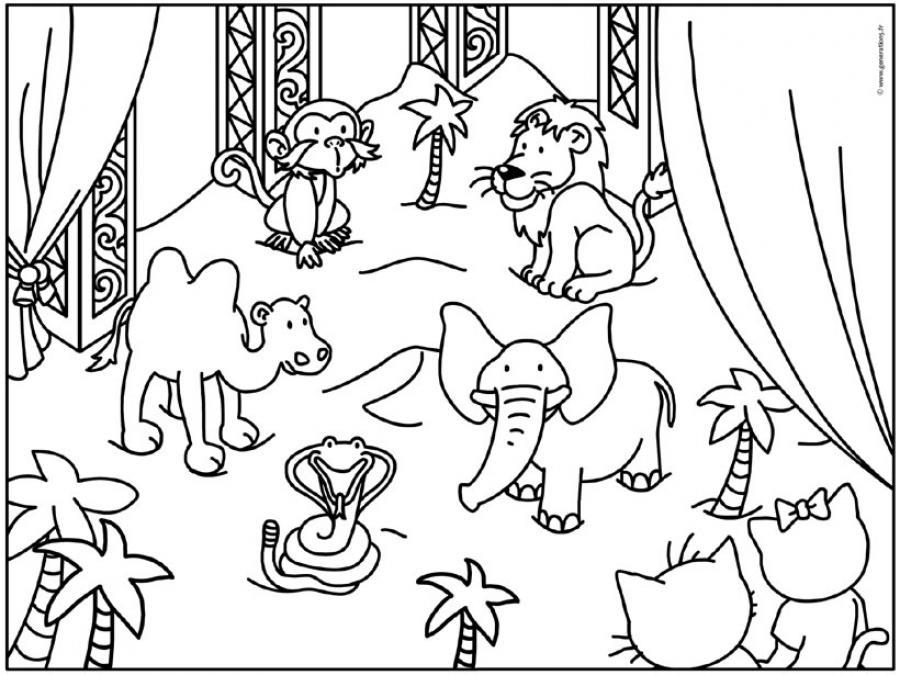 Dessin à colorier: Animaux de cirque (Animaux) #20891 - Coloriages à Imprimer Gratuits
