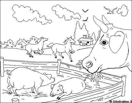 Dessin à colorier: Animaux de la ferme (Animaux) #21663 - Coloriages à Imprimer Gratuits
