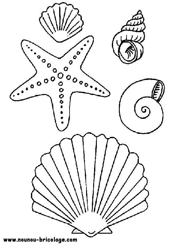 Dessin à colorier: Animaux marins (Animaux) #21987 - Coloriages à Imprimer Gratuits