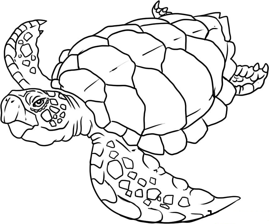 Dessin à colorier: Animaux marins (Animaux) #22001 - Coloriages à Imprimer Gratuits