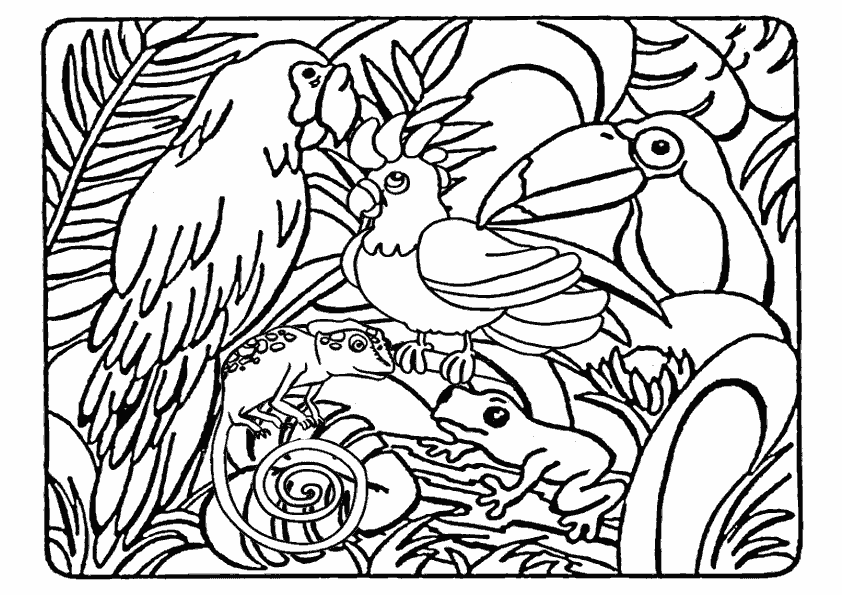 Dessin à colorier: Animaux sauvages / de la jungle (Animaux) #21082 - Coloriages à Imprimer Gratuits