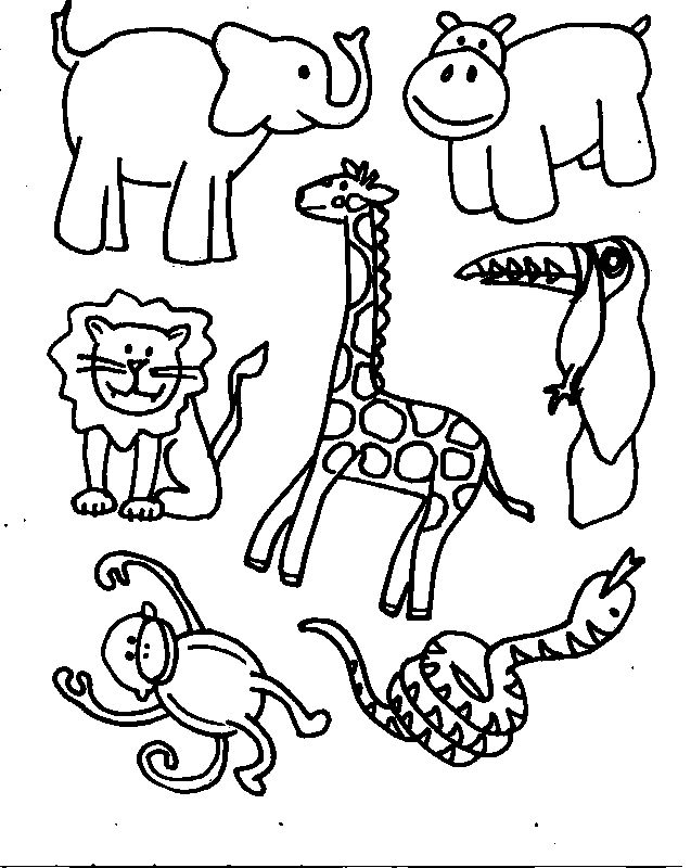 Dessin à colorier: Animaux sauvages / de la jungle (Animaux) #21090 - Coloriages à Imprimer Gratuits