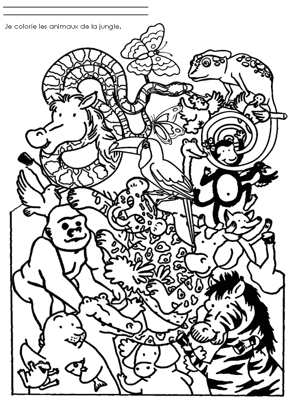 Dessin à colorier: Animaux sauvages / de la jungle (Animaux) #21091 - Coloriages à Imprimer Gratuits