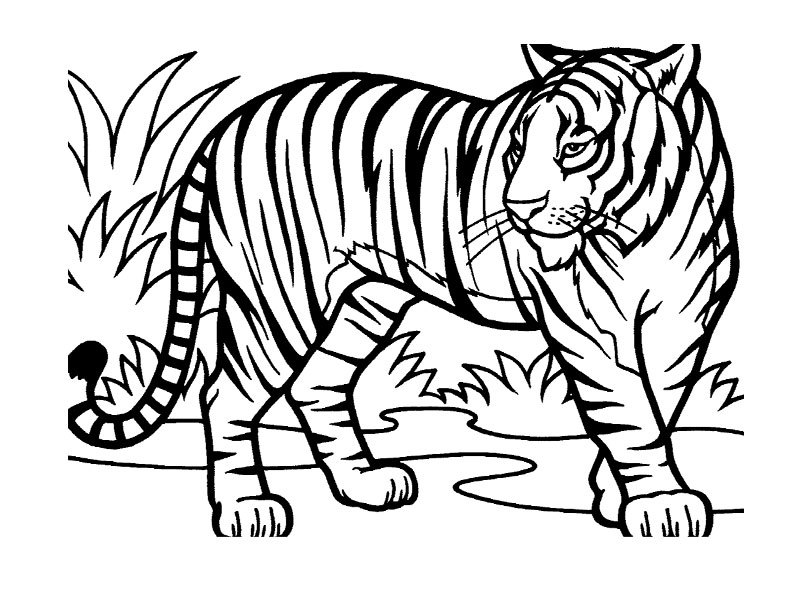 Dessin à colorier: Animaux sauvages / de la jungle (Animaux) #21114 - Coloriages à Imprimer Gratuits