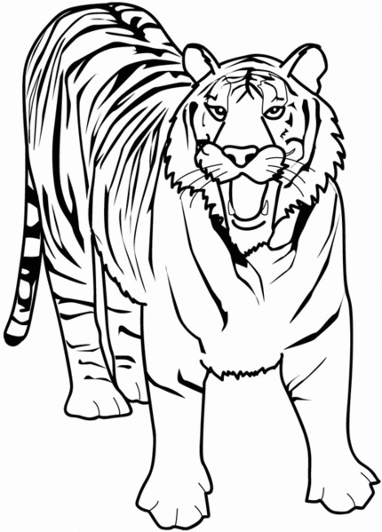 Dessin à colorier: Animaux sauvages / de la jungle (Animaux) #21130 - Coloriages à Imprimer Gratuits
