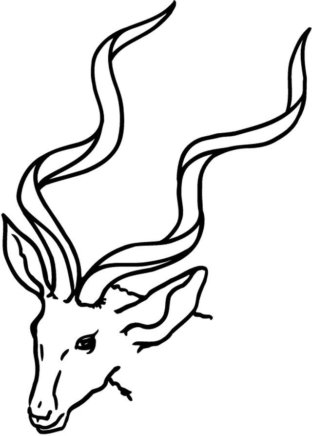 Dessin à colorier: Antilope (Animaux) #22590 - Coloriages à Imprimer Gratuits