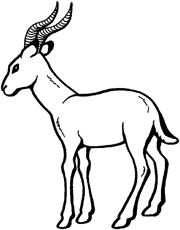 Dessin à colorier: Antilope (Animaux) #22599 - Coloriages à Imprimer Gratuits