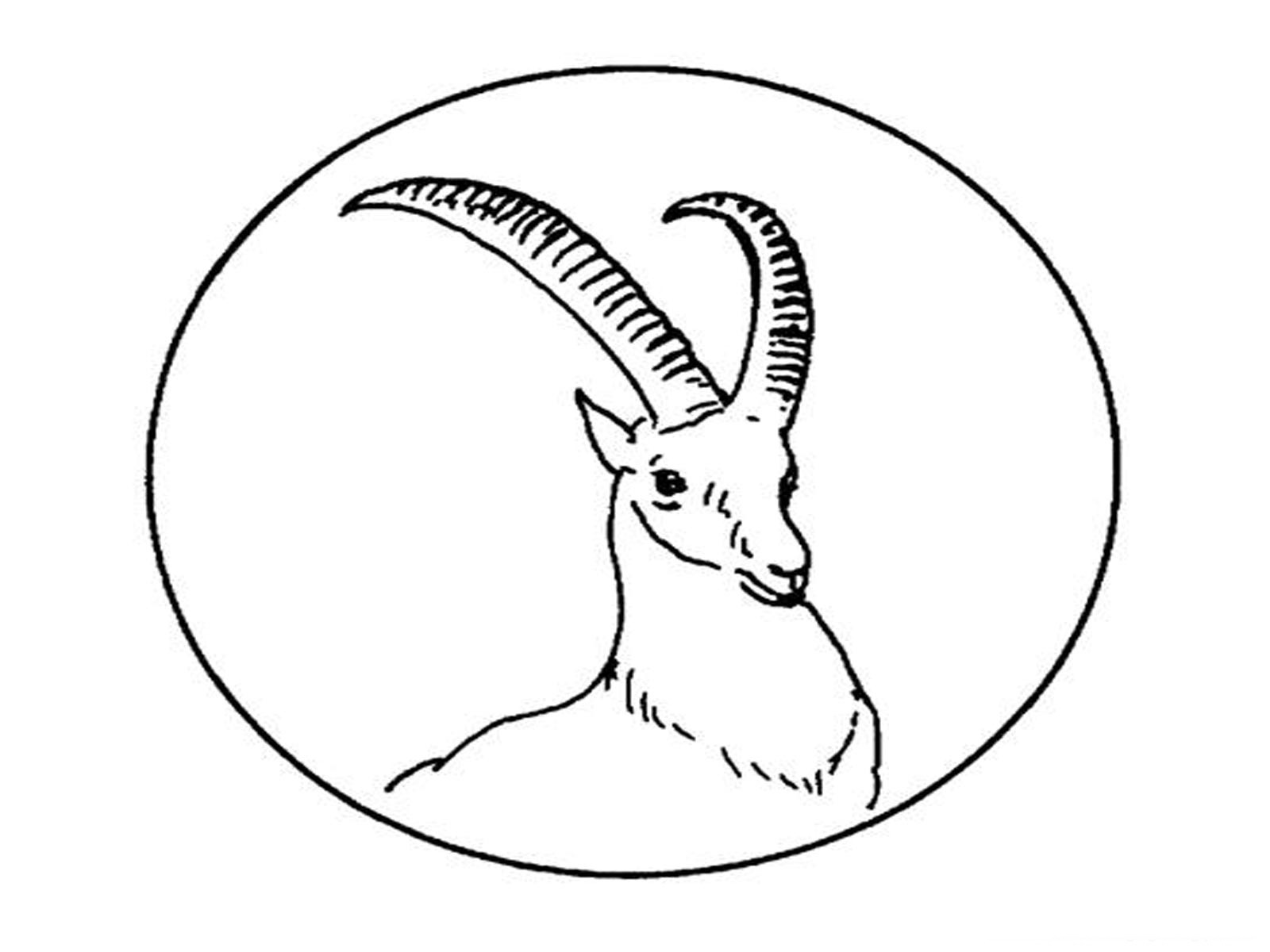 Dessin à colorier: Antilope (Animaux) #22602 - Coloriages à Imprimer Gratuits