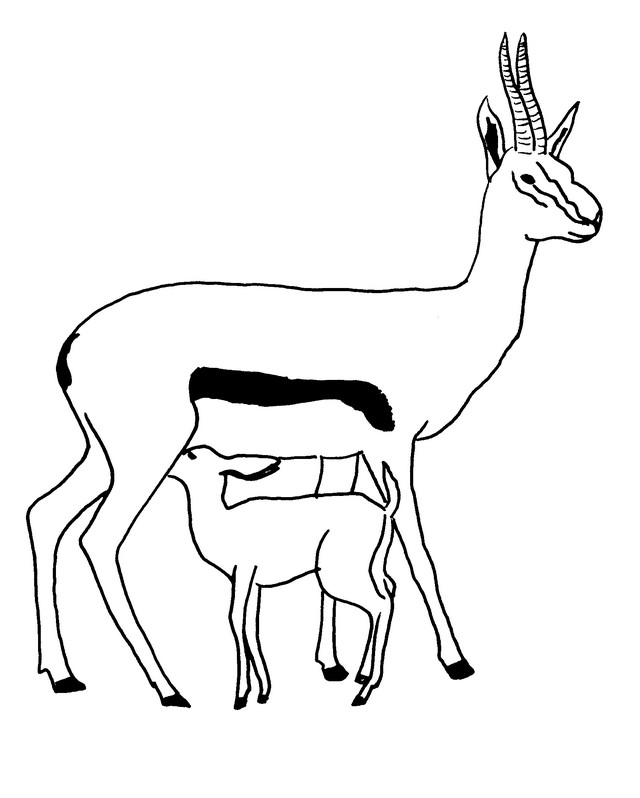 Dessin à colorier: Antilope (Animaux) #22605 - Coloriages à Imprimer Gratuits