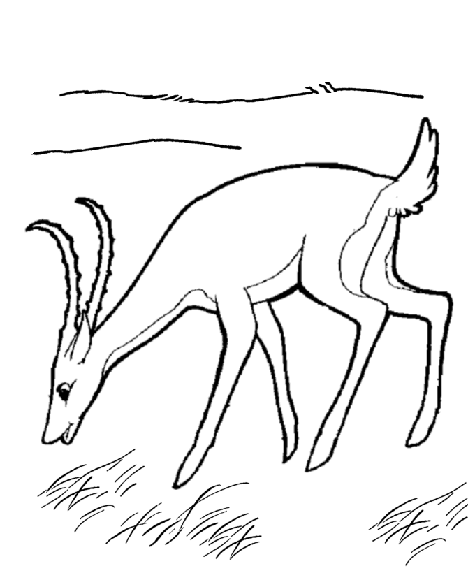 Dessin à colorier: Antilope (Animaux) #22633 - Coloriages à Imprimer Gratuits