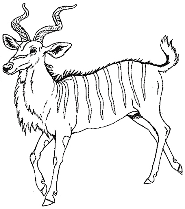 Dessin à colorier: Antilope (Animaux) #22637 - Coloriages à Imprimer Gratuits
