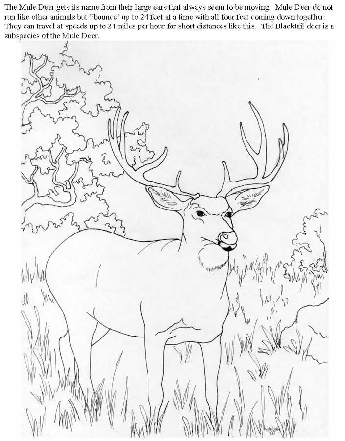 Dessin à colorier: Antilope (Animaux) #22670 - Coloriages à Imprimer Gratuits