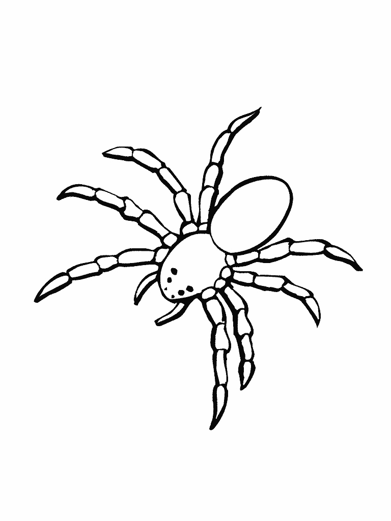 Dessin à colorier: Araignée (Animaux) #583 - Coloriages à Imprimer Gratuits
